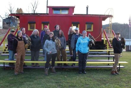 Ohio Falconry Association to  host ladies’ falconry meet Sunday